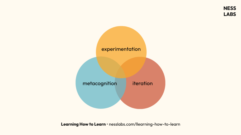 Learning How to Learn - Experimentation, Metacognition, Iteration (Ness Labs)