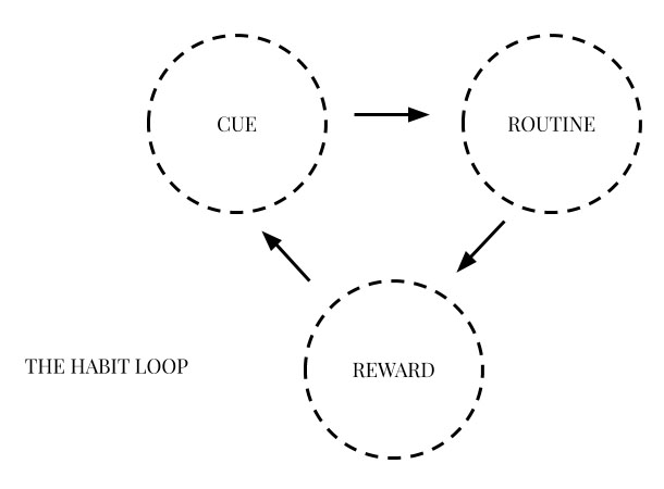 The habit loop
