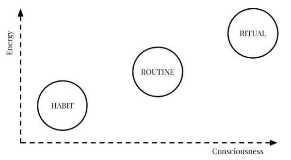 The Difference Between Habits, Routines And Rituals - Ness Labs