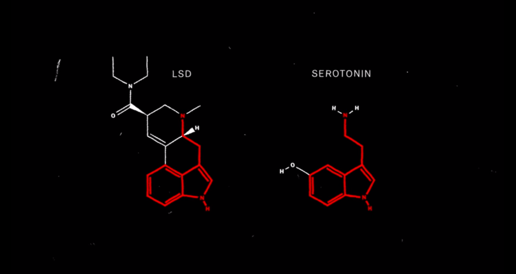 The mind explained - LSD