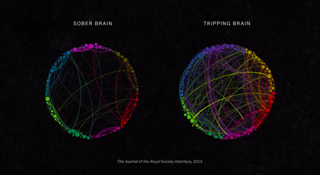 The mind explained - Psychedelics