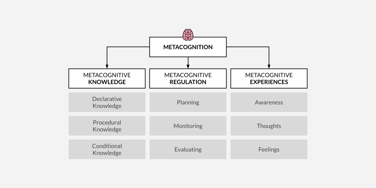 Metacognition: the mind's Swiss Army knife - Ness Labs