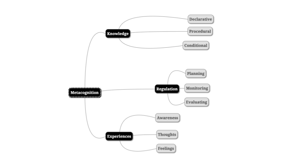 metacognition science problem solving