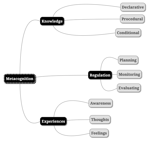 Metacognition mind map for Roam Research
