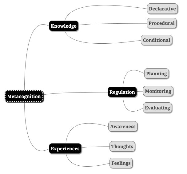 critical thinking metacognitive awareness