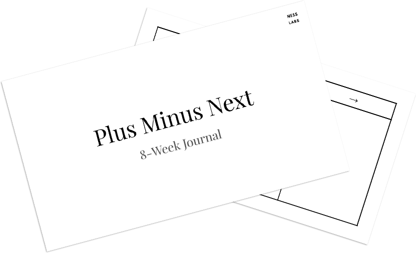Plus Minus Next journaling - worksheet