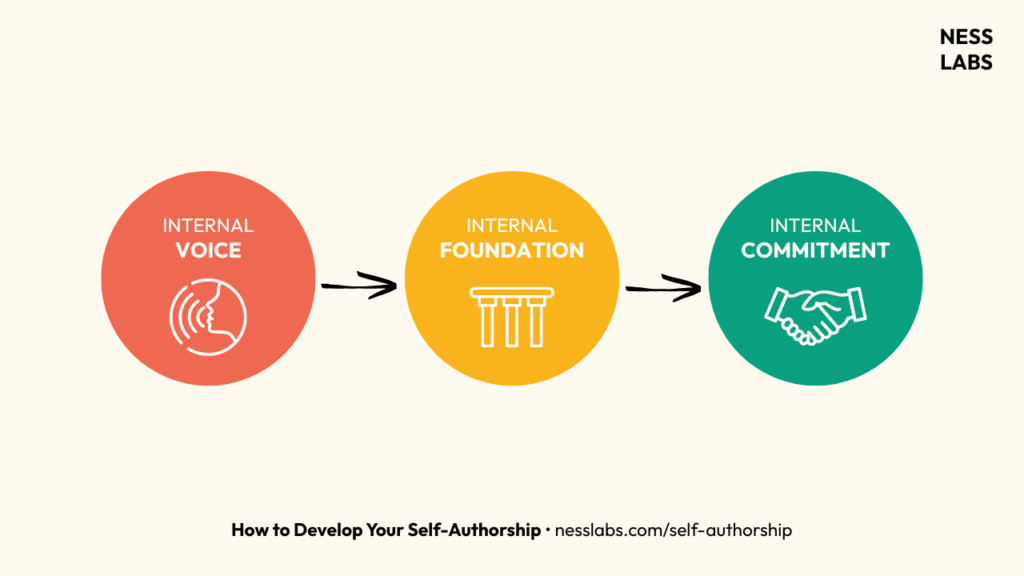 The three phases of self-authorship - Ness Labs