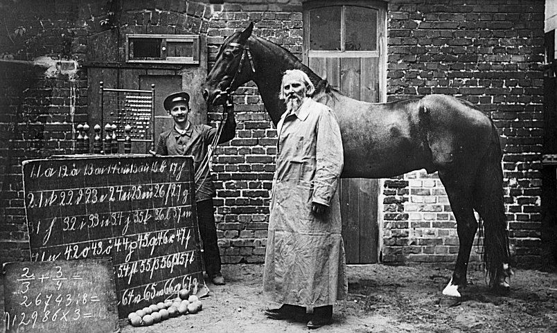 Clever Hans, the horse that could count