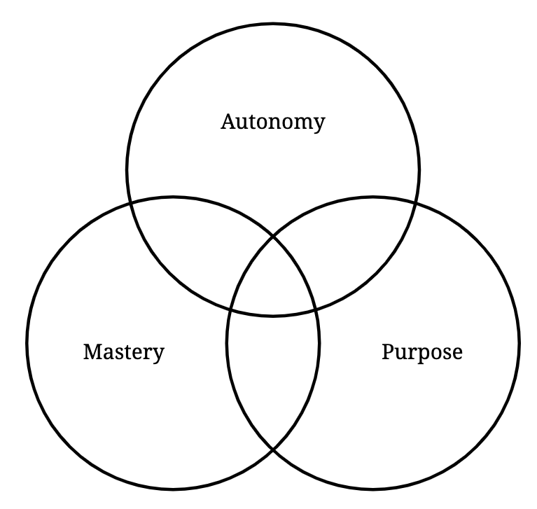 Motivation beyond money: autonomy, master, purpose