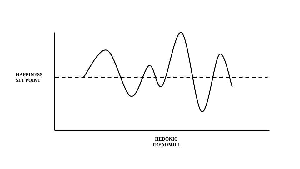 The genetics of happiness: Hedonic Treadmill with low resilience