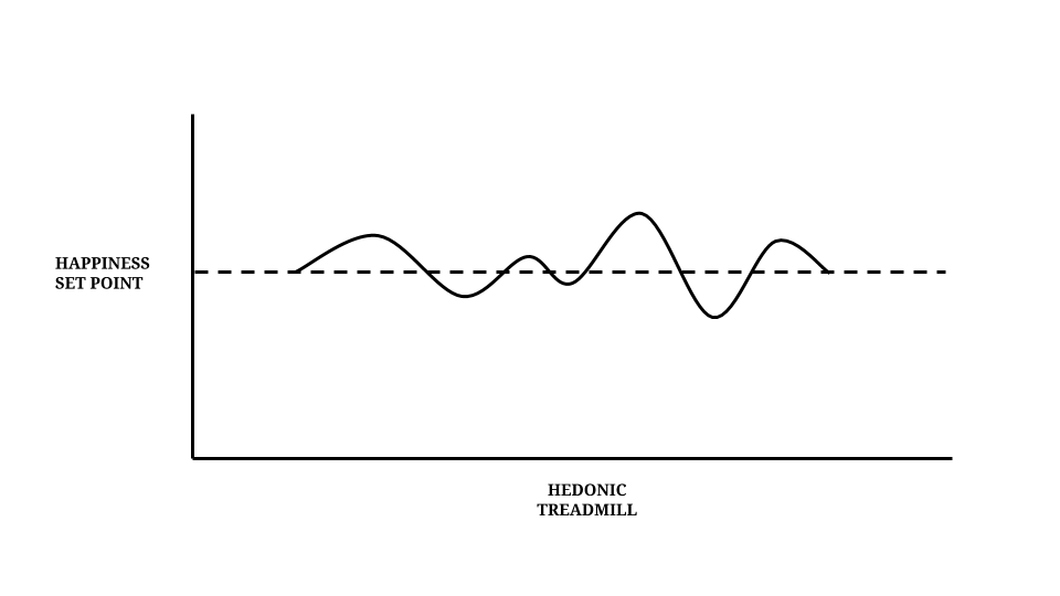 The genetics of happiness: Hedonic Treadmill with high resilience