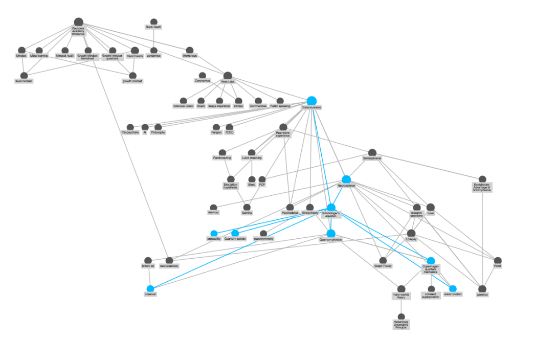 Show connections. Roam research. Roam research логотип. Roam программа. Roam Notes.