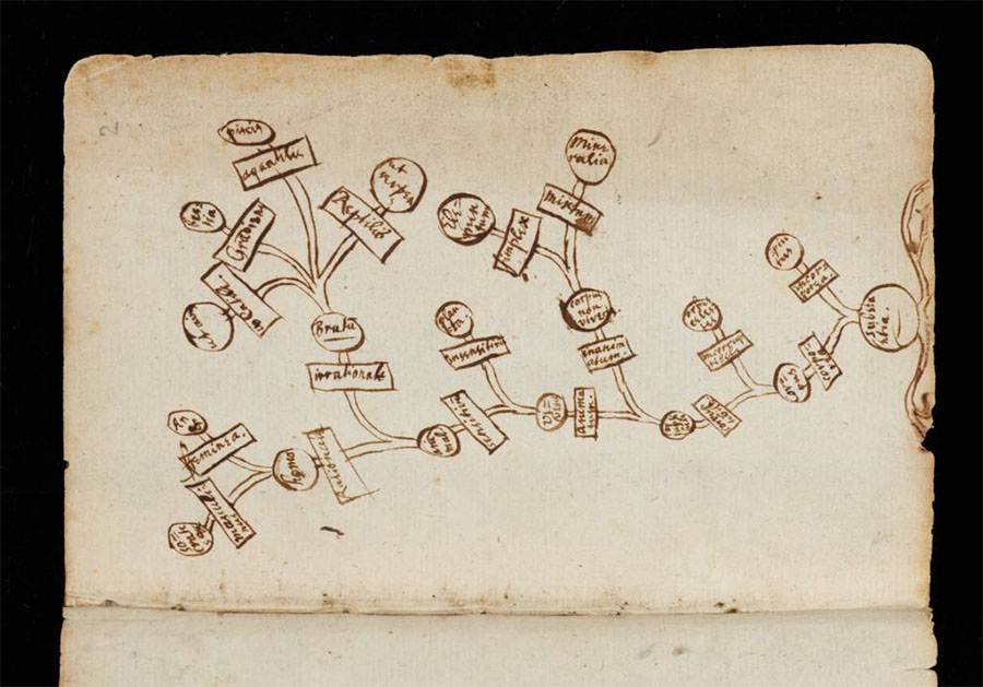 Isaac Newton thinking in maps