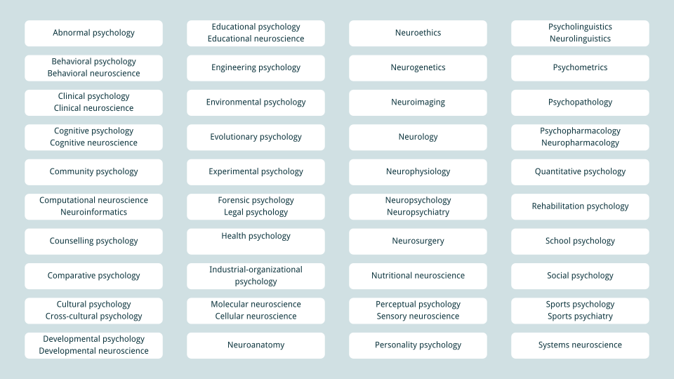 40 major fields of psychology and neuroscience - banner image