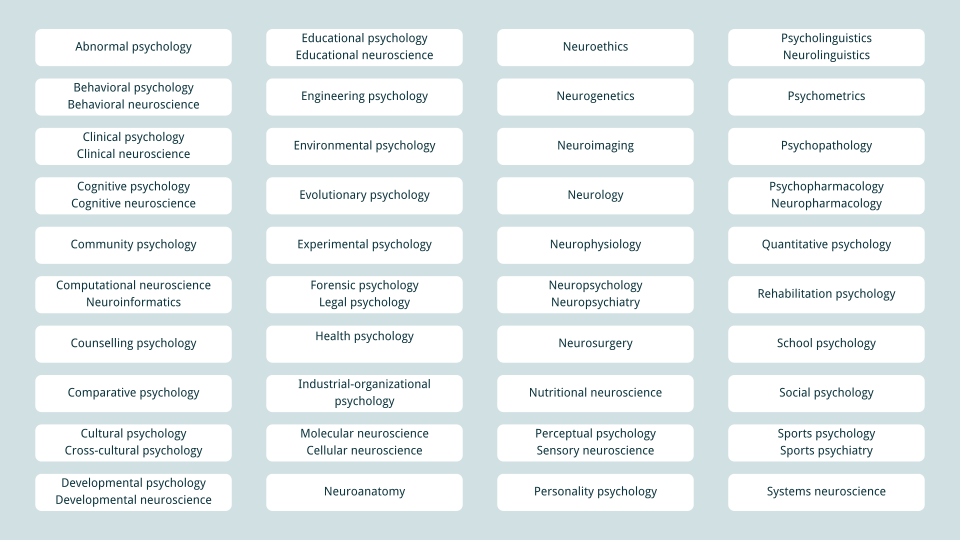 Navigating the mind: 40 major fields of psychology and neuroscience