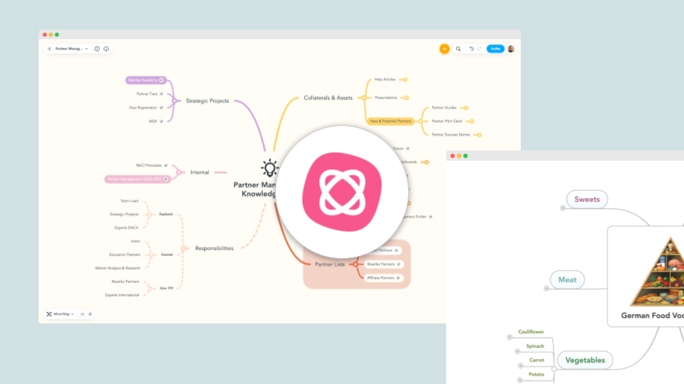 Exploring the power of mind mapping with Michael Hollauf, co-founder of ...