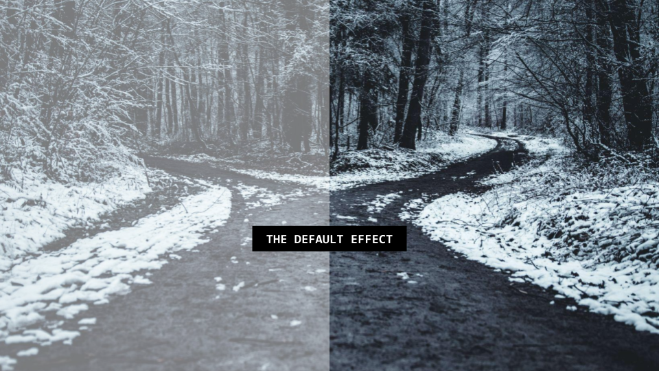 The default effect: why we renounce our ability to choose