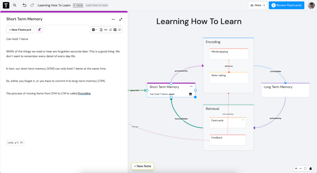 The power of spaced repetition and flashcards - Ness Labs