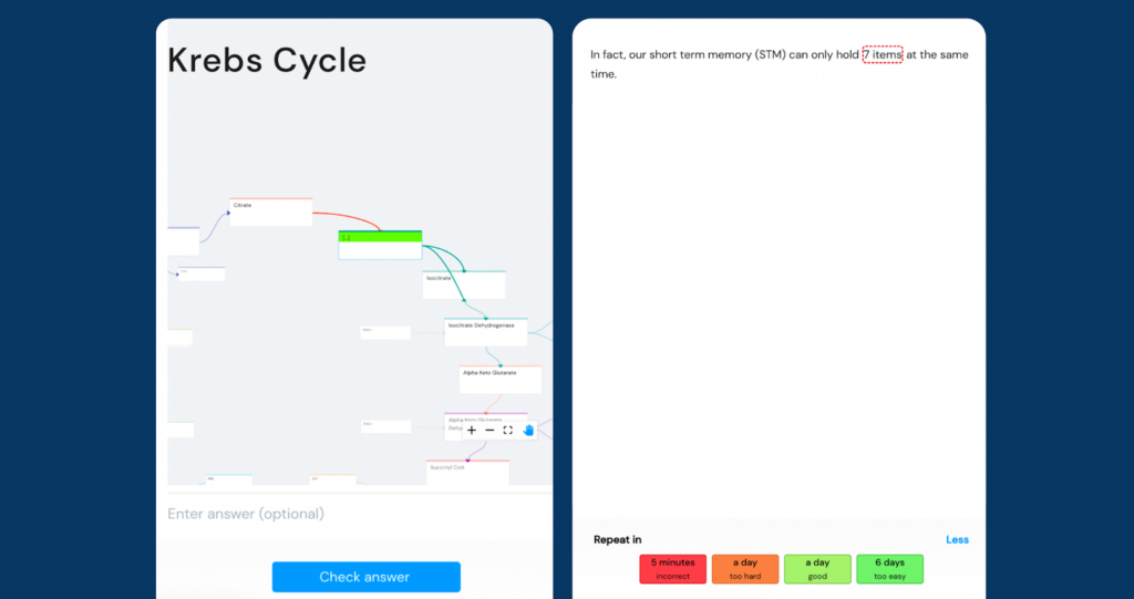 The power of spaced repetition and flashcards - Ness Labs