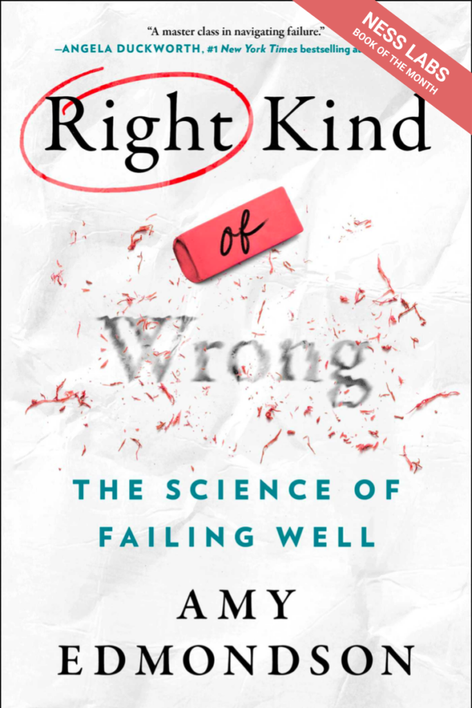 Right Kind of Wrong – Ness Labs Book of the Month