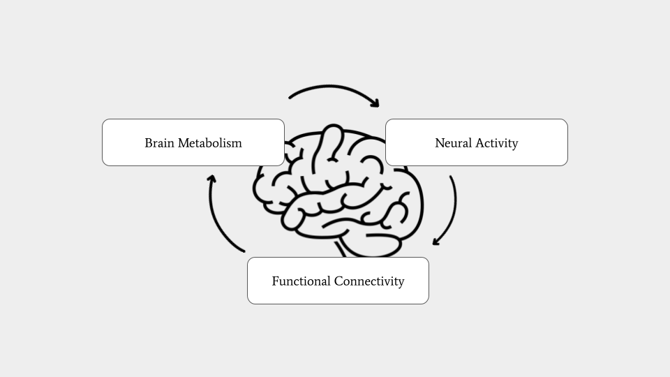 Neuroenergetics - The Study of Brain Energy