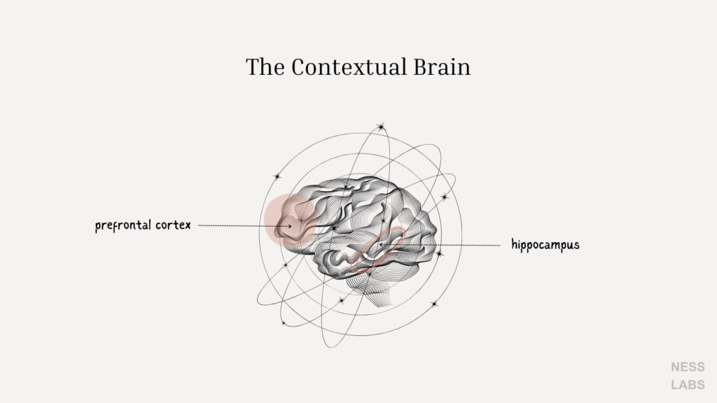 Remember what you read – The Contextual Brain