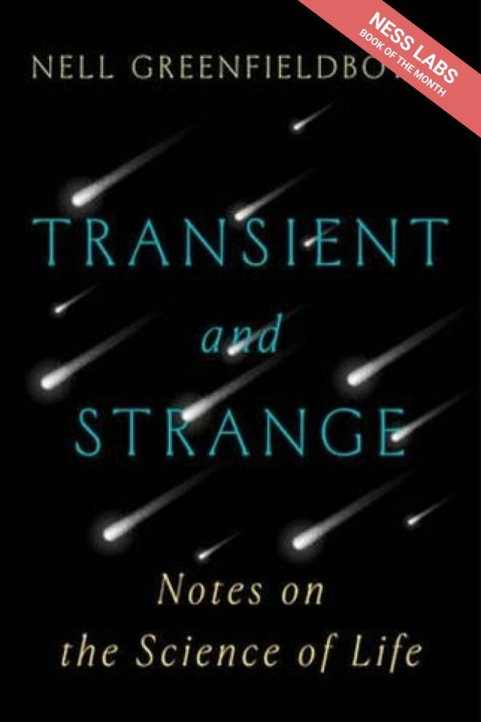 Transient and Strange – Ness Labs Book of the Month