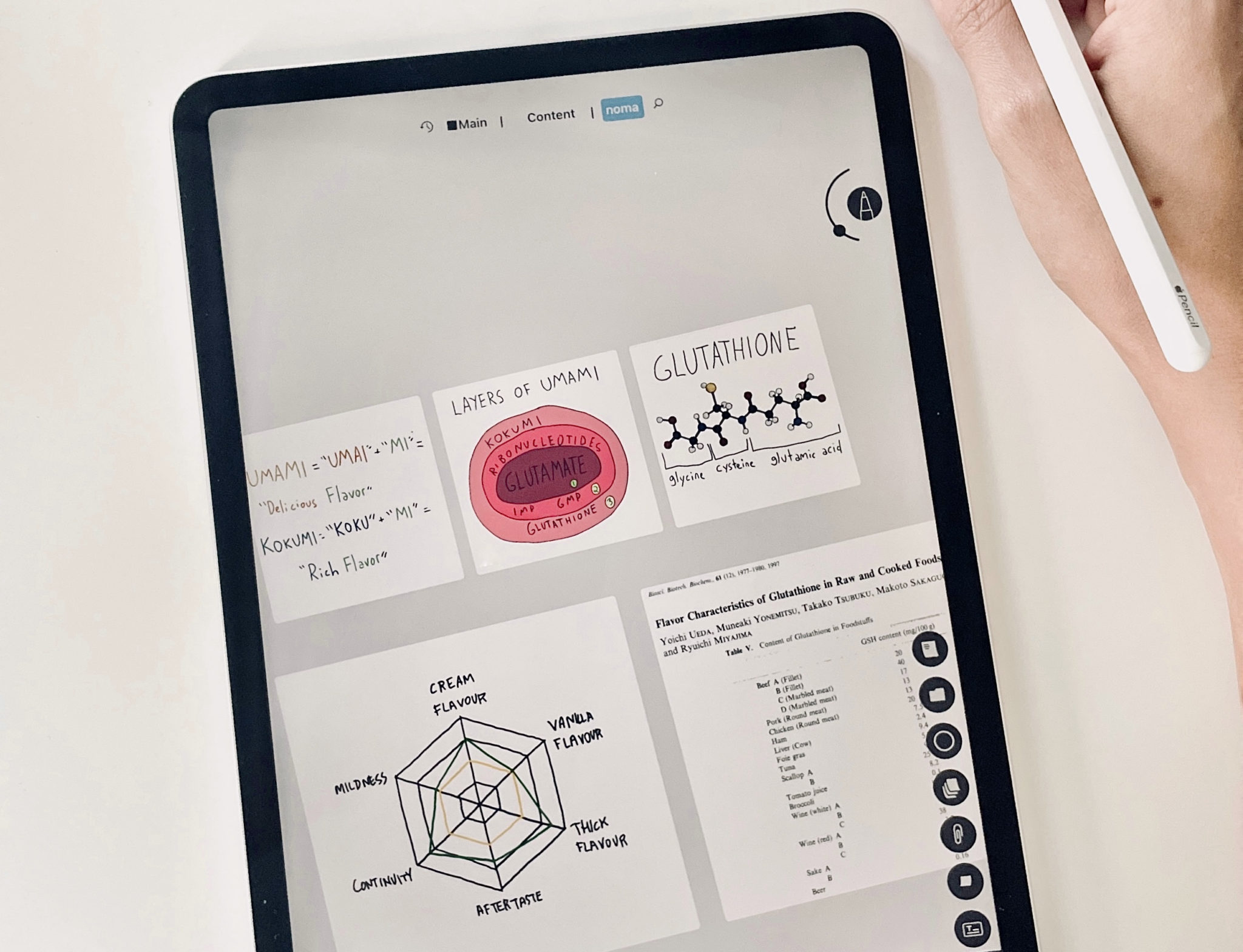 Interview with Cansu Tastan, Co-Creator of Defter Notes – Ness Labs