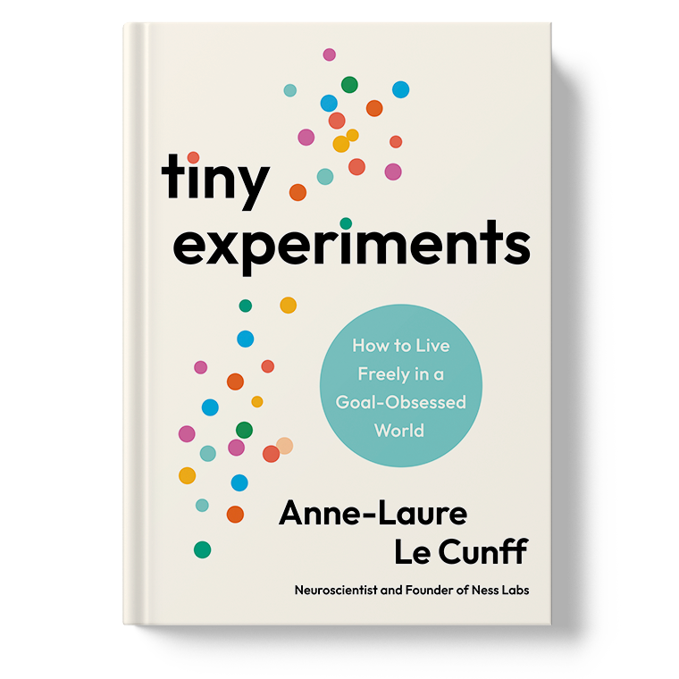 Tiny Experiments mockup-book