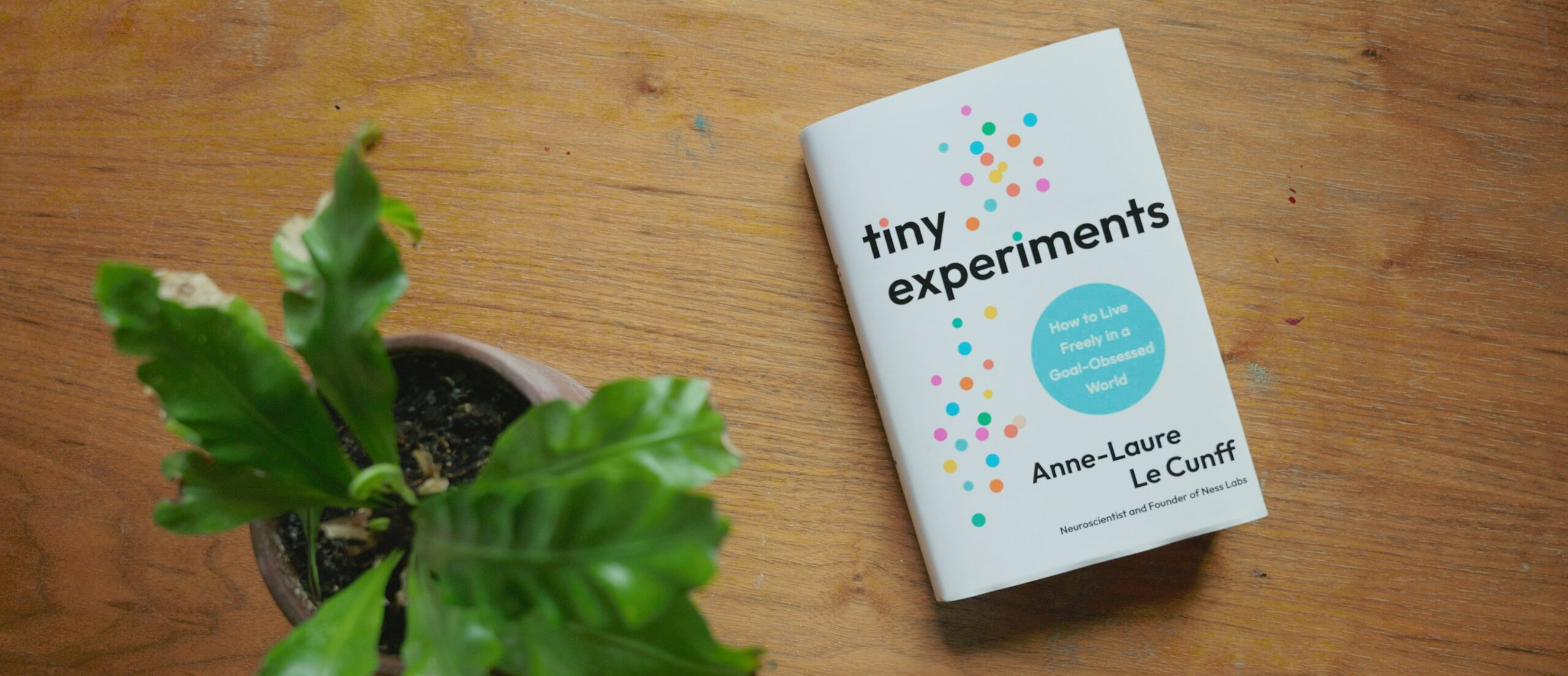 Tiny Experiments Banner