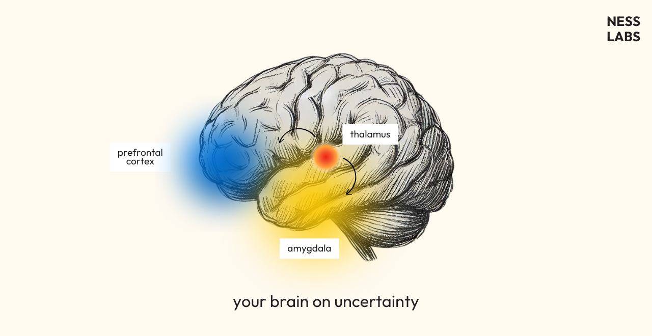 Your Brain on Uncertainty - Neuroscience of Uncertainty