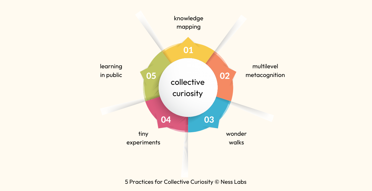 5 Practices for Collective Curiosity