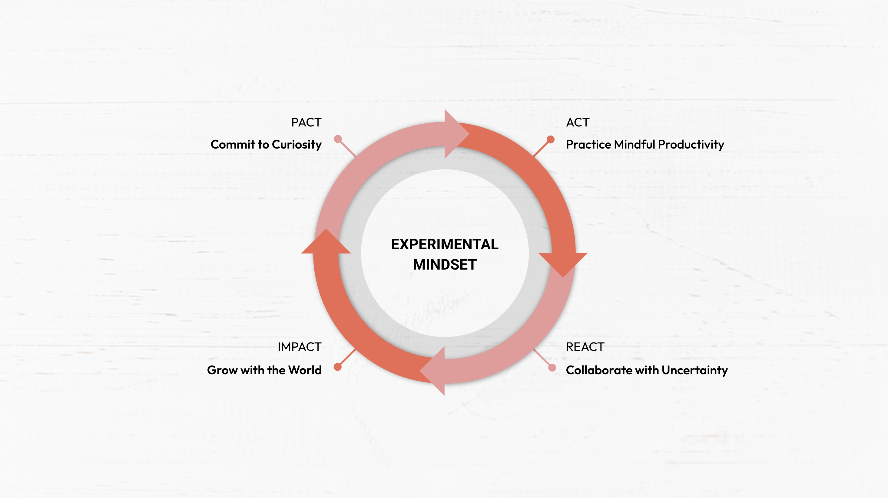 Experimentalist Phases - PARI System - Ness Labs