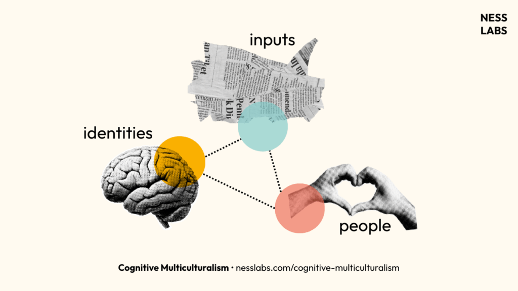 Cognitive Multiculturalism: Inputs, People, Identities (Ness Labs)