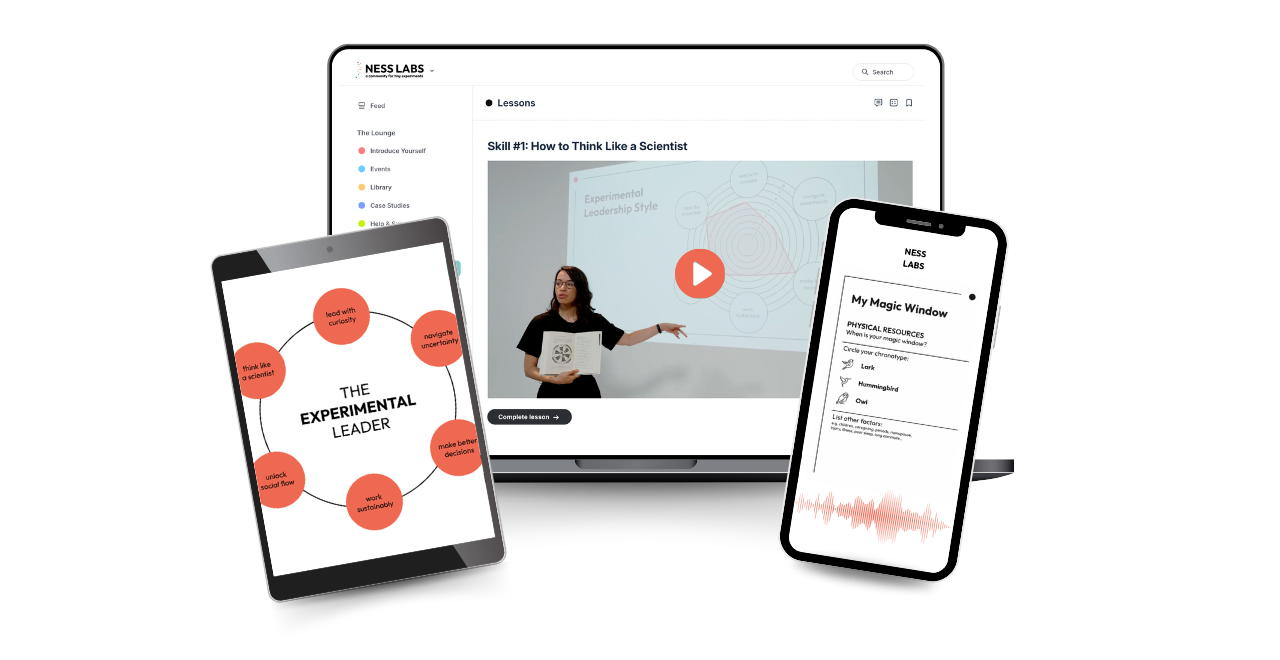 The Experimental Leader — course overview
