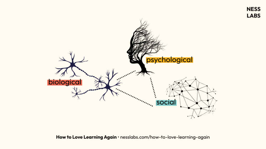 How to Love Learning Again - Banner