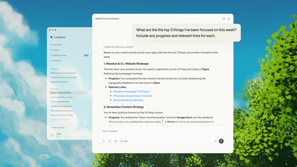Littlebird - Ness Labs Feature Image 2