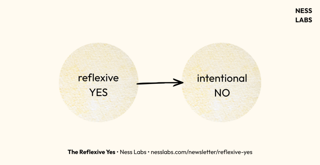 The Reflexive Yes - Ness Labs