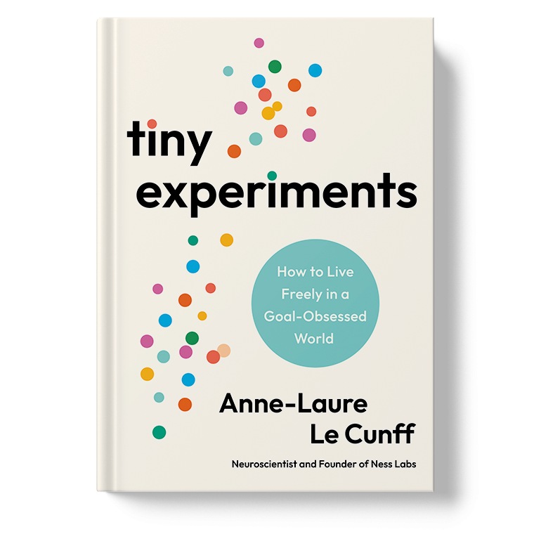 Tiny Experiments mockup-book